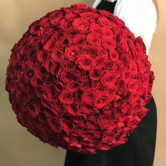 Розы Букет из 201 красной розы (40 см)