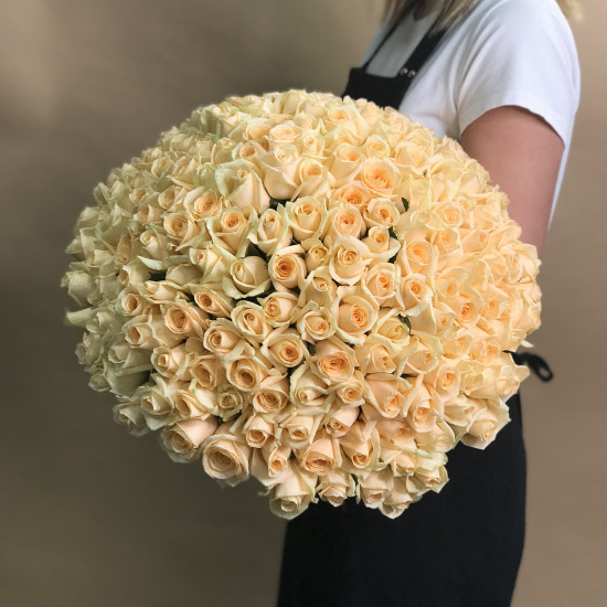 Розы Букет из 201 кремовой розы (40 см)