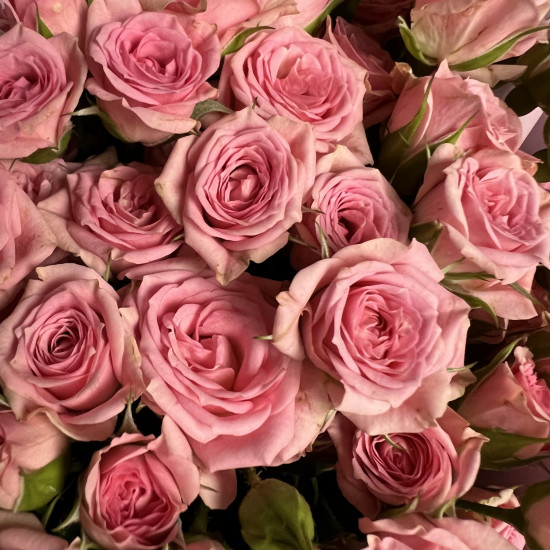 Кустовая роза Букет из 17 кустовых розовых роз