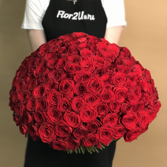 Букеты из роз Букет из 201 красной розы (50 см)