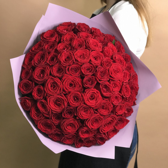 Розы Букет из 71 красной розы (40 см)