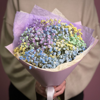 Цветы гипсофилы нижний новгород купить цветы леруа мерлен каталог москва