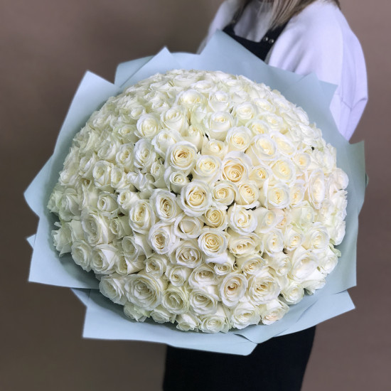 Розы Букет из 151 белой розы (50 см)