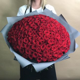 Розы Букет из 201 красной розы (60 см)